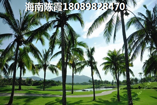 白沟万兴达商铺 一居  户型图
