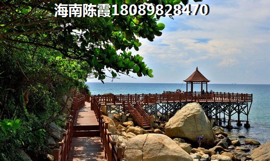 金孔雀壹公馆 一居  户型图