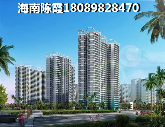 哈罗城 两居  户型图