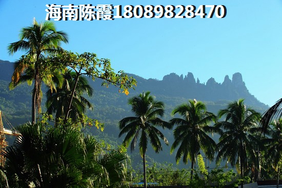 康诚锋尚公寓 两居  户型图