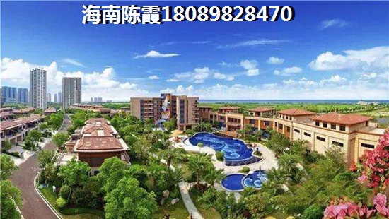 九号国际城 一居  户型图