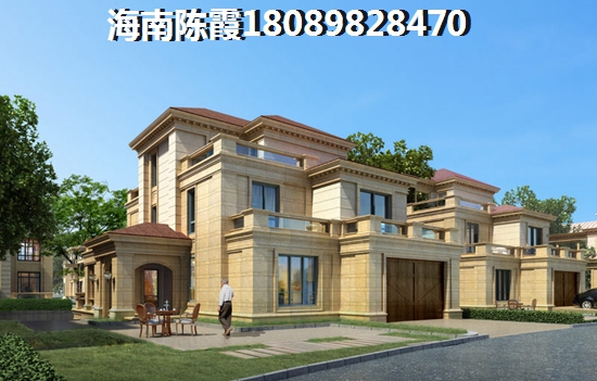 九号国际城 一居  户型图