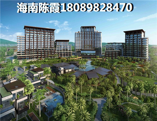 九号国际城 三居  户型图