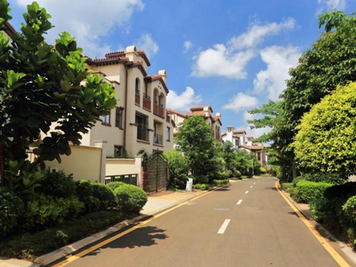 大唐盛苑 建筑规划 